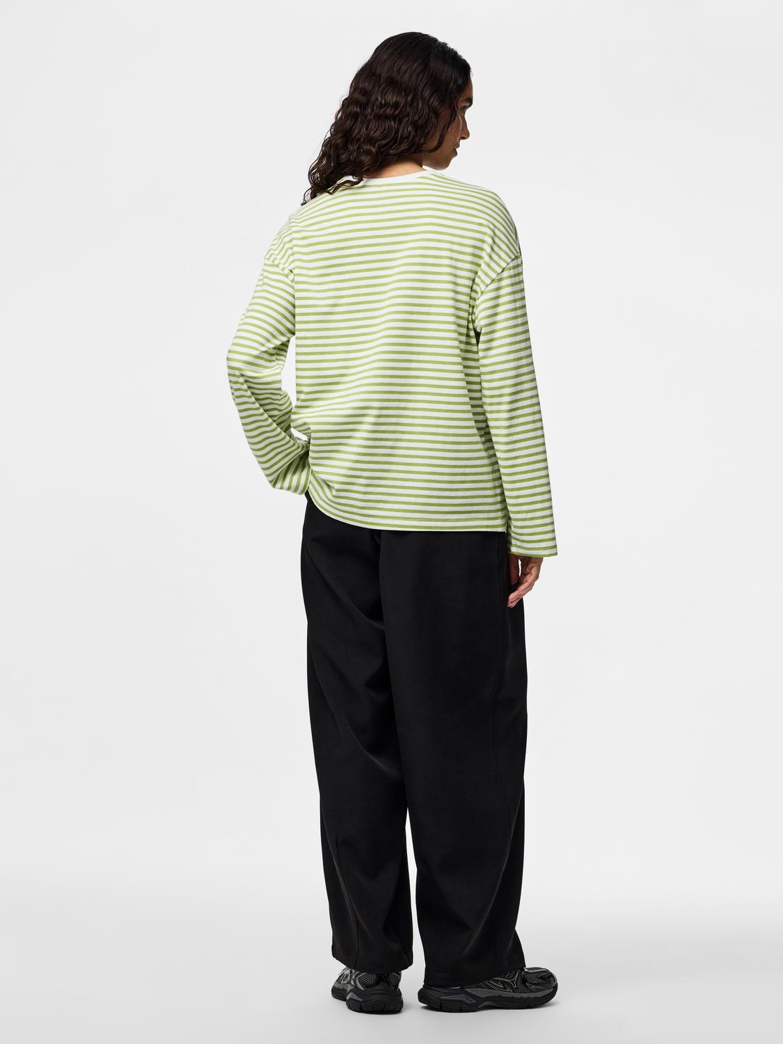 model_shot-back